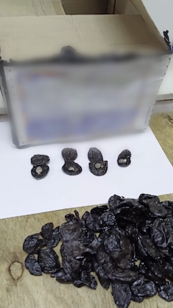 В СИЗО-3 Нижнего Тагила пытались пронести гашиш в черносливе (ВИДЕО)
