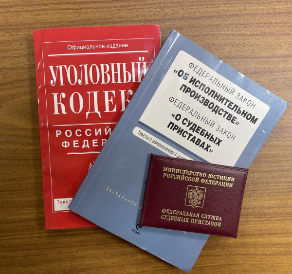 В Нижнем Тагиле мужчина получил уголовную судимость за оскорбление судебных приставов
