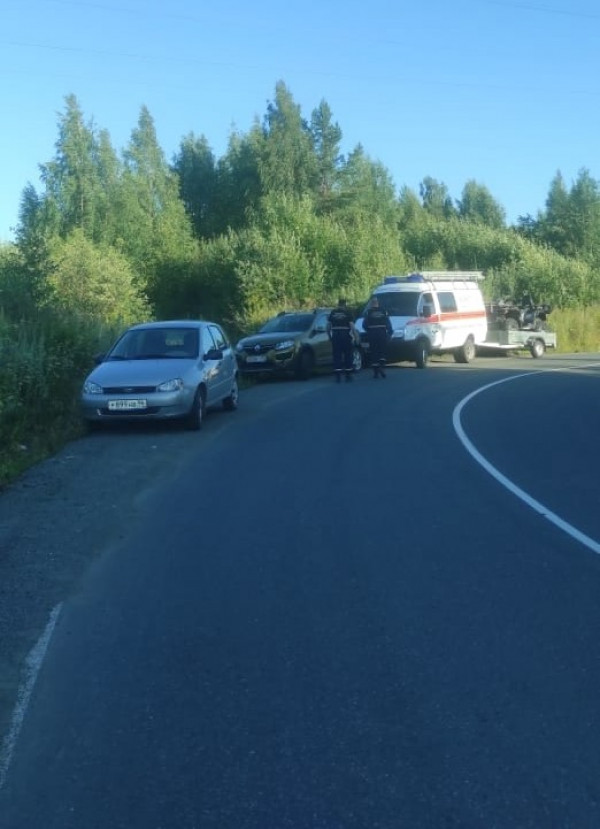 Тагильские спасатели нашли дедушку, который пошёл с внуком в лес и потерялся