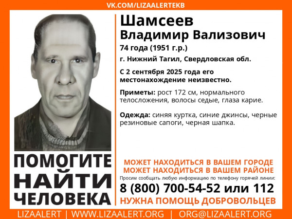 В Нижнем Тагиле разыскивают 74-летнего Владимира Шамсеева