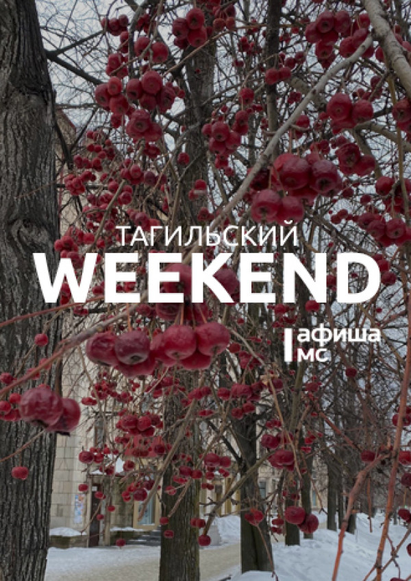 Тагильский weekend, топ-6: волейбольный матч, фотовыставка, фестиваль настольных игр, лекция, игры с аниматором и экологическое мероприятие Тагильский weekend, топ-6: волейбольный матч, фотовыставка, фестиваль настольных игр, лекция, игры с аниматором и экологическое мероприятие