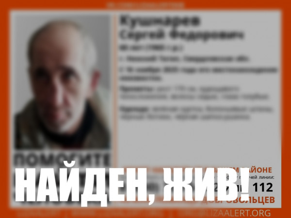 В Нижнем Тагиле нашли живым пропавшего Сергея Кушнарёва