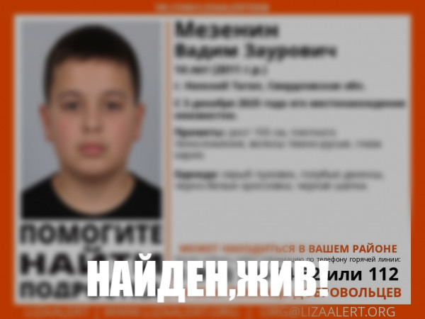 В Нижнем Тагиле нашли живым пропавшего Вадима Мезенина В Нижнем Тагиле нашли живым пропавшего Вадима Мезенина