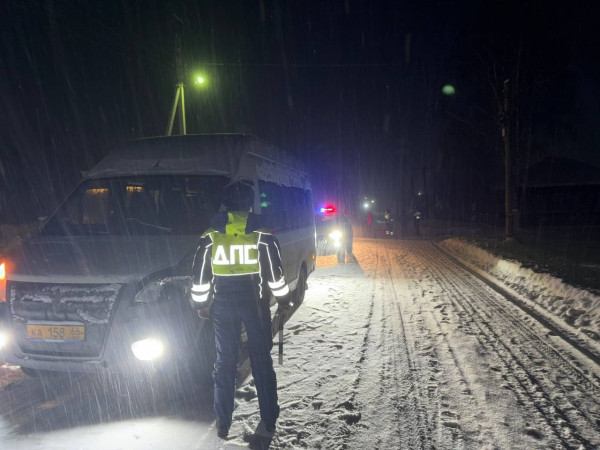 В посёлке Висим под Нижним Тагилом водитель рейсового автобуса сбил двух пешеходов