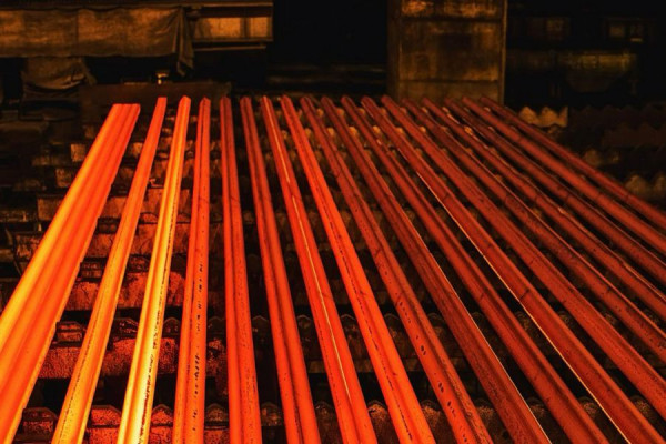 Компания «Бауман ИнноМет», которая будет строить медный завод в Верхней Салде на деньги китайского инвестора, получила статус резидента «Титановой долины»