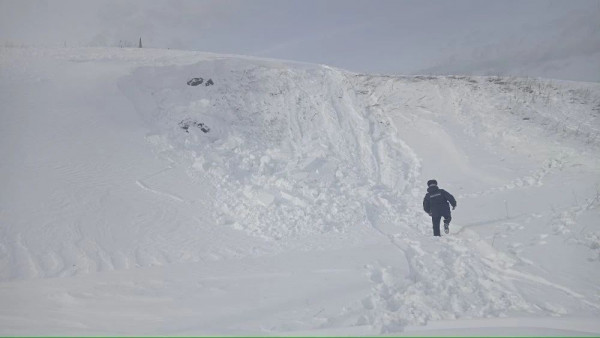 В селе Сылва Свердловской области двое детей погибли из-за схода снежной лавины В селе Сылва Свердловской области двое детей погибли из-за схода снежной лавины