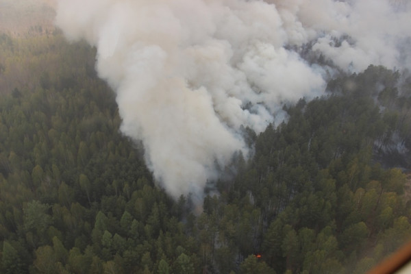 «Природа “недоливает” Свердловской области». Глобальное потепление привело к катастрофической нехватке осадков в регионе «Природа “недоливает” Свердловской области». Глобальное потепление привело к катастрофической нехватке осадков в регионе