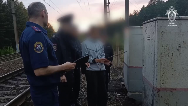 Вынесен приговор подросткам, совершившим террористический акт на железной дороге в Свердловской области (ВИДЕО)