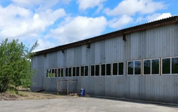 Природоохранная прокуратура выявила незаконное использование тагильским предпринимателем пиролизных печей