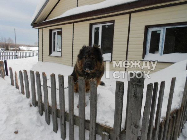 «Мы никому не нужны, получается — всё разворовали, и никому нет дела». Жительница посёлка Синегорский под Нижним Тагилом заявила о бездействии полиции после серии краж из её дома