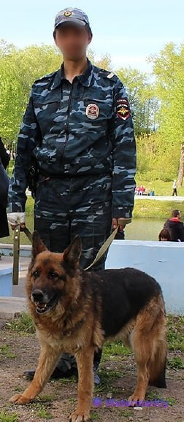 В Нижней Салде полицейский и его жена обвиняются в неоднократном изнасиловании своих несовершеннолетних детей