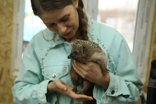 «Без этой поддержки мы бы многое не смогли сделать». Благодаря Президентскому гранту в Нижнетагильском центре реабилитации диких животных открылся «Домик Просвещения», где будут учить ухаживать за птицами