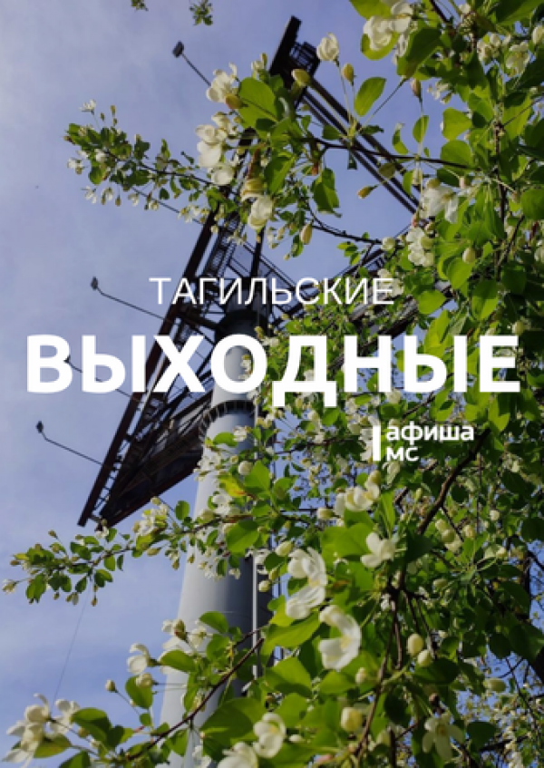 Тагильские выходные топ-7: по следам северного оленя, «Мелодия на вылет», семейные игры, рэп-концерт и зрелищное мотошоу 