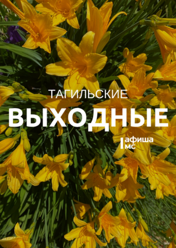 Тагильские выходные, топ 6: лето ручной работы, берёзовые картины и смех над трагизмом викторианской эпохи Тагильские выходные, топ 6: лето ручной работы, берёзовые картины и смех над трагизмом викторианской эпохи