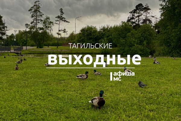 Тагильские выходные топ-8: творчество под открытым небом, истории о лошадях, театр на улице, пиратское шоу, день рождения диджея и благотворительный ультрамарафон