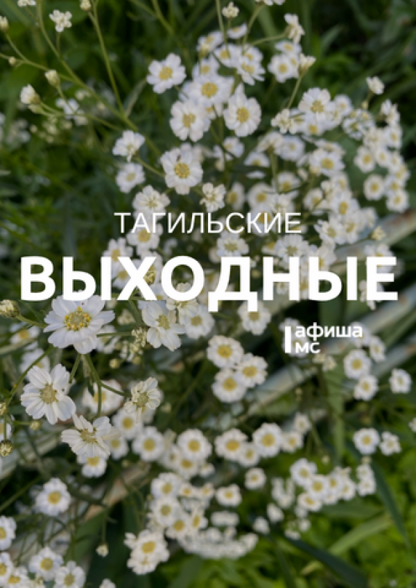 Тагильские выходные, топ-6: байк-фестиваль, автогонки на парковке и финал Чемпионата мира по футболу