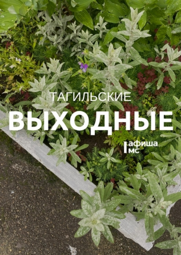Тагильские выходные, топ-6: съёмка в кино для всех желающих, уральский рэп, встреча с профессором Стэнфордского университета, парад рыжих и погружение в роман «Вегетарианка»