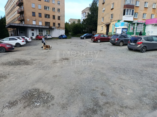 Житель Нижнего Тагила пожаловался Владимиру Радаеву на разбитую дорогу и тротуар у трамвайного кольца на Красном Камне Житель Нижнего Тагила пожаловался Владимиру Радаеву на разбитую дорогу и тротуар у трамвайного кольца на Красном Камне