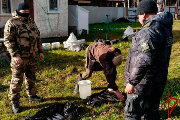 В водоёмах под Нижним Тагилом и Невьянском изъяли более 200 метров рыболовных сетей