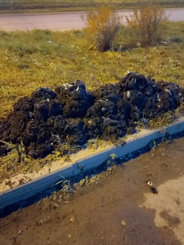 Специалисты «Водоканала-НТ» четыре дня устраняли засор канализации на Гальянке 