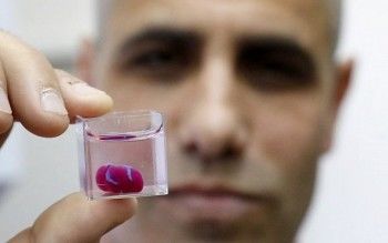 Израильские учёные представили первое в мире сердце, напечатанное на 3D-принтере