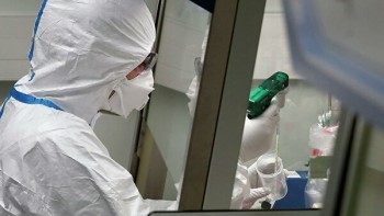 Учёные из Сингапура сдвинули окончание пандемии в России до 24 августа