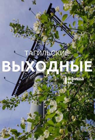 Тагильские выходные топ-7: по следам северного оленя, «Мелодия на вылет», семейные игры, рэп-концерт и зрелищное мотошоу 