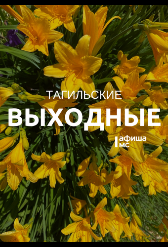 Тагильские выходные, топ 6: лето ручной работы, берёзовые картины и смех над трагизмом викторианской эпохи