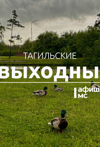 Тагильские выходные топ-8: творчество под открытым небом, истории о лошадях, театр на улице, пиратское шоу, день рождения диджея и благотворительный ультрамарафон
