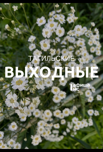 Тагильские выходные, топ-6: байк-фестиваль, автогонки на парковке и финал Чемпионата мира по футболу