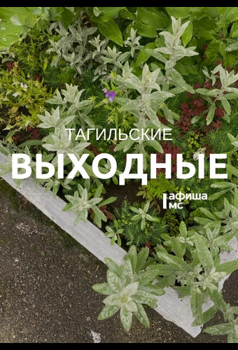 Тагильские выходные, топ-6: съёмка в кино для всех желающих, уральский рэп, встреча с профессором Стэнфордского университета, парад рыжих и погружение в роман «Вегетарианка»