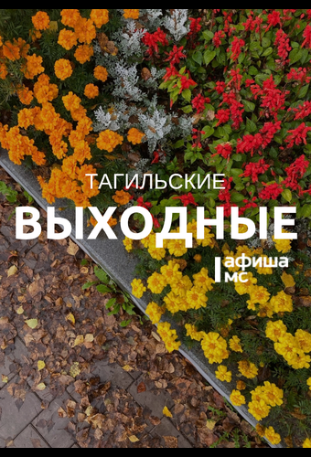Тагильские выходные, топ-7: акустический блюз, игры с фразеологизмами, брайль-арт и легендарные французские кино-полицейские
