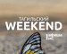 Тагильский weekend топ-11: «Кросс нации», конные скачки и лекция о мемах