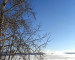 В Свердловской области в начале недели похолодает до –30 градусов 