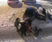 Жильцы домов на улице Горошникова в Нижнем Тагиле жалуются на частые драки под окнами между посетителями кафе (ВИДЕО)