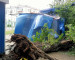 В Нижнем Тагиле шквалистый ветер повалил десятки деревьев (ВИДЕО)