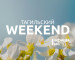 Тагильский weekend топ-7: весенняя прогулка по городу, рок в уютном баре, фотопортреты с характером и судьбой, поход-квест и хоккей