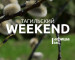 Тагильский weekend топ-8: Stand Up, фотовыставка уникальных тинтипов, пасхальные мастер-классы, игры с аниматором и «концерт знойного нытья и праздничного декаданса» 
