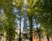 А вы знали? Знаменитый Румянцевский парк в Санкт-Петербурге создал тагильчанин Степан Соловьёв
