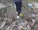 В Парке культуры и отдыха металлургов на Тагилстрое неизвестные устроили свалку костей животных