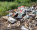 Жительница Нижнего Тагила отправилась с детьми на прогулку и обнаружила незаконную свалку мусора со скотомогильником