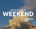 Тагильский weekend топ-6: мастер-классы, празднование Дня животных, концерты, литературные и поэтические вечера