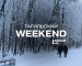 Тагильский weekend топ-7: волейбол, концерт к 23 февраля, игра в «Мафию», мастер-класс по акварели и фестиваль КВН