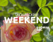 Тагильский weekend топ-5: Парад, песни Победы, кино о войне и поэтический свободный микрофон