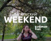 Тагильский weekend топ-7: «Ночь музеев», песни Булата Окуджавы, игротека, мастер-классы и «Космо-путешествие таракана Геннадия»