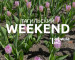 Тагильский weekend, топ-5: первый в городе фестиваль кофе, мастер-класс «Образ на школьный выпускной», концерты под открытым небом, игры с аниматорами и футбол