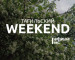 Тагильский weekend топ-7: День защиты детей, вечер поэзии, парад оркестров, рок-концерт и игра в снежки