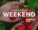 Тагильский weekend топ-6: литературный променад на Демидовской даче, квест «Знаем. Помним. Гордимся», экосвоп, кинолекторий «Кинокультура», акция «Вспомним всех поимённо», муз-лото «Певучий случай» 