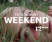 Тагильский weekend топ-5: уличное кино, сессия настольных игр, рок-концерт, картины из ткани и фестиваль Холи