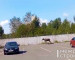 В Нижнем Тагиле молодой лось забрёл на парковку Коксохима (ВИДЕО)